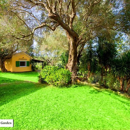 House In The Olive Garden Apartment Agios Ioannis  Exterior photo