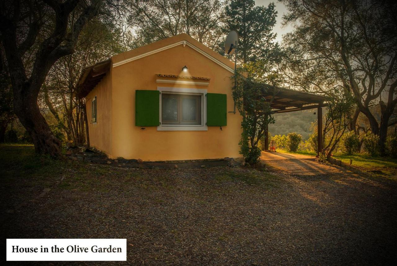 House In The Olive Garden Apartment Agios Ioannis  Exterior photo