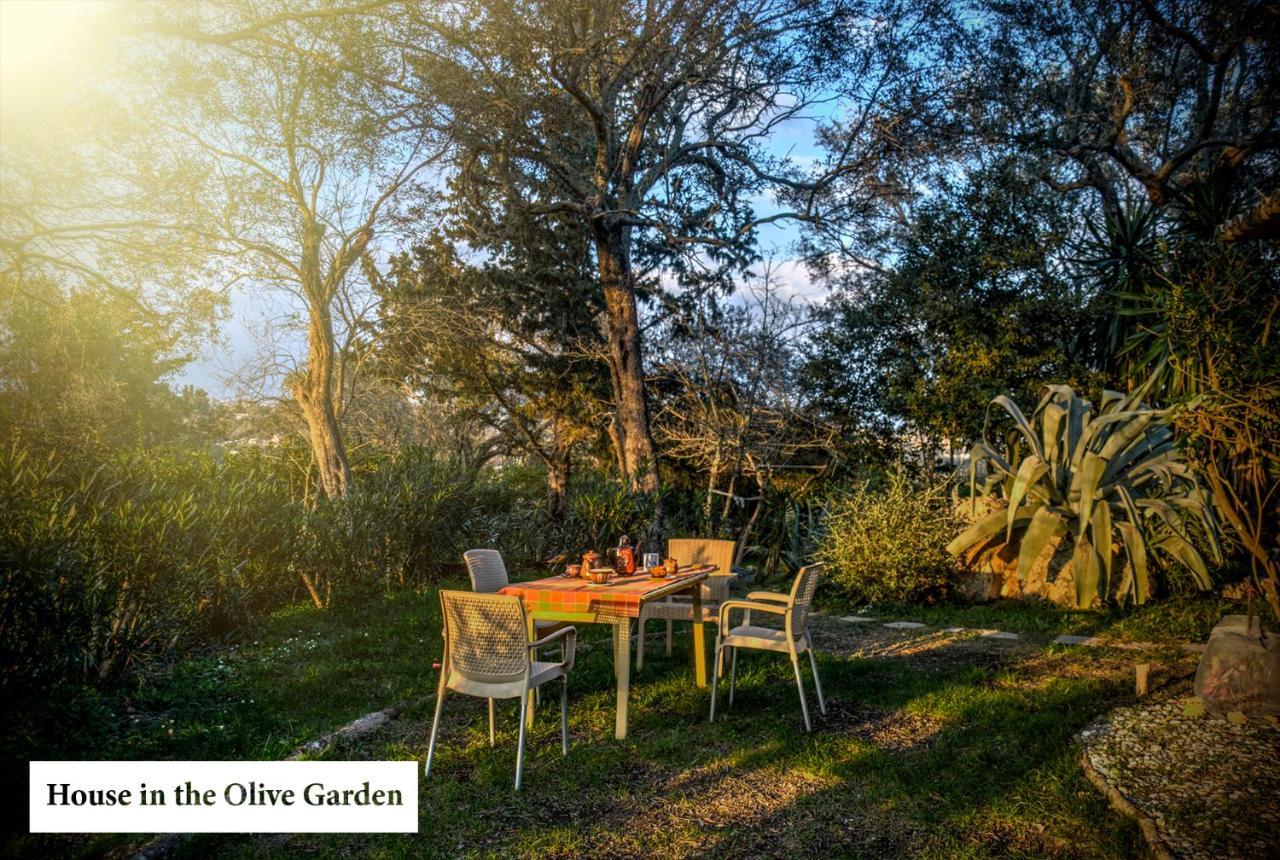 House In The Olive Garden Apartment Agios Ioannis  Exterior photo