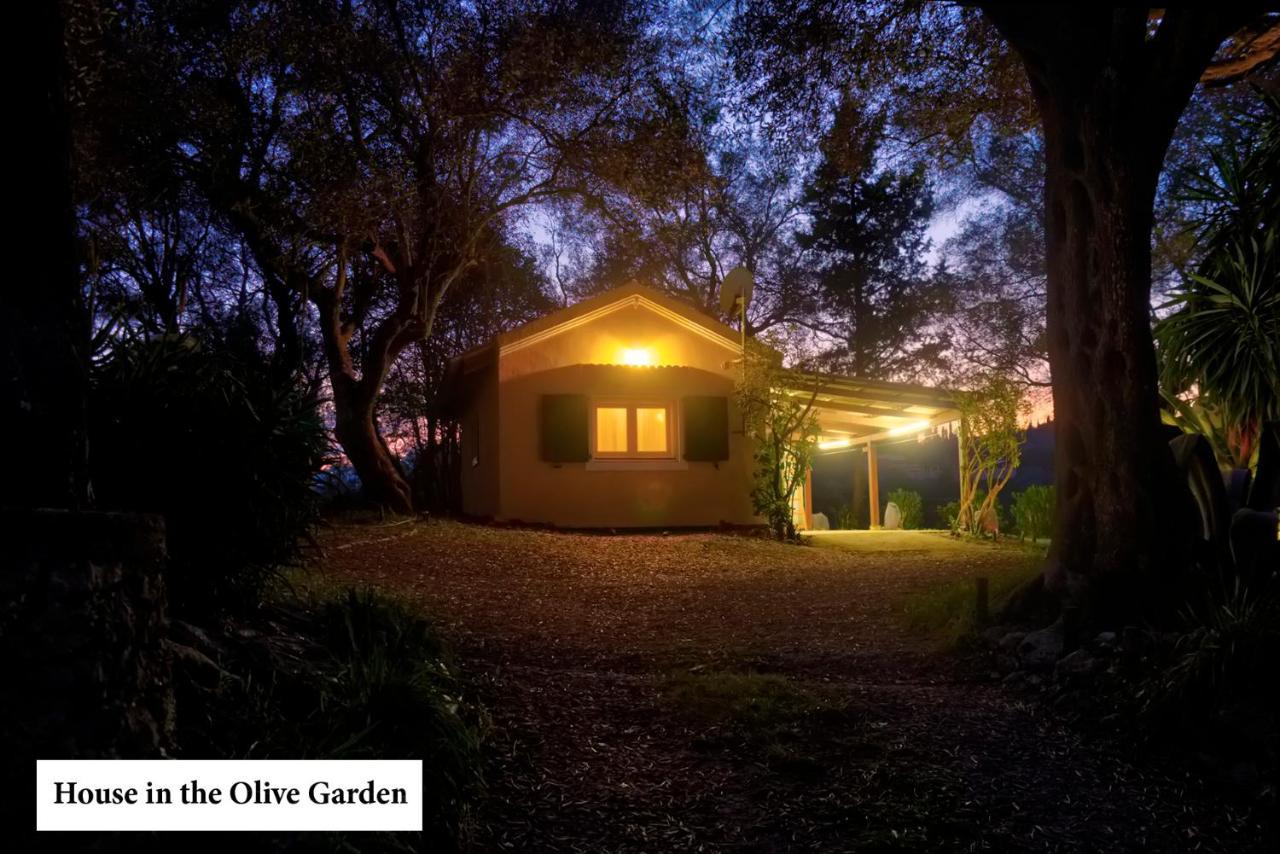 House In The Olive Garden Apartment Agios Ioannis  Exterior photo