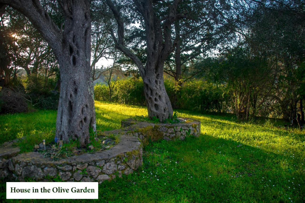 House In The Olive Garden Apartment Agios Ioannis  Exterior photo
