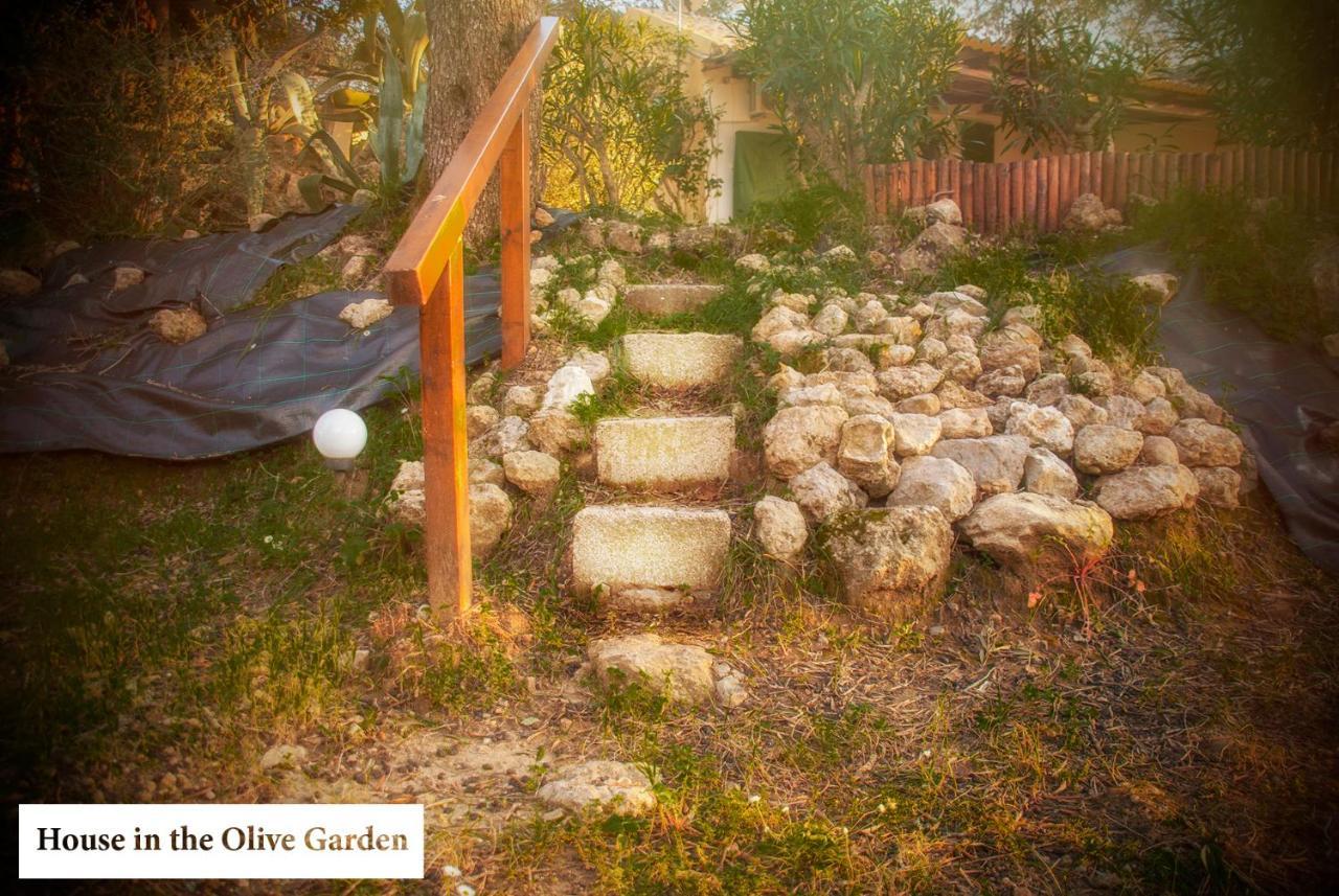 House In The Olive Garden Apartment Agios Ioannis  Exterior photo