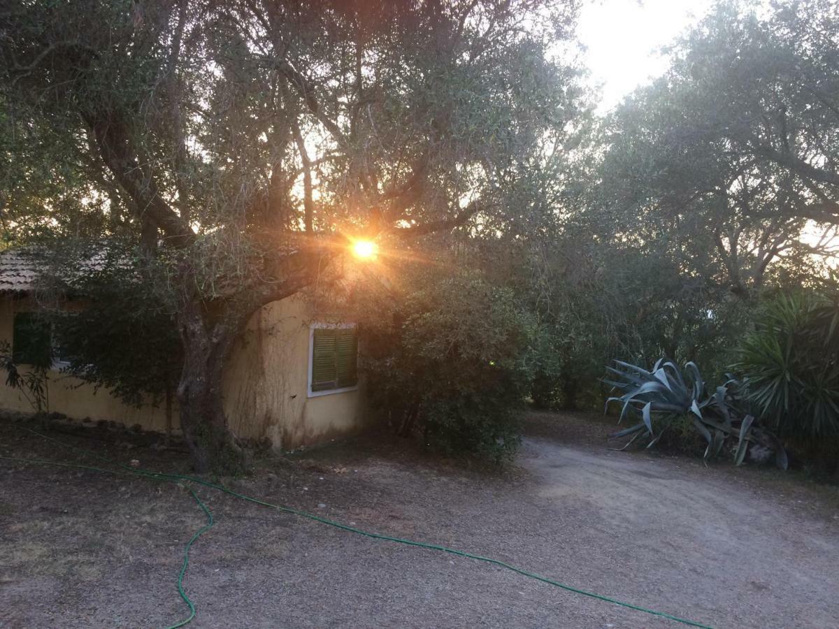 House In The Olive Garden Apartment Agios Ioannis  Exterior photo