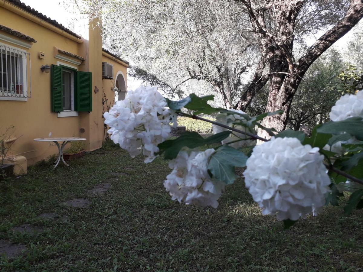 House In The Olive Garden Apartment Agios Ioannis  Exterior photo
