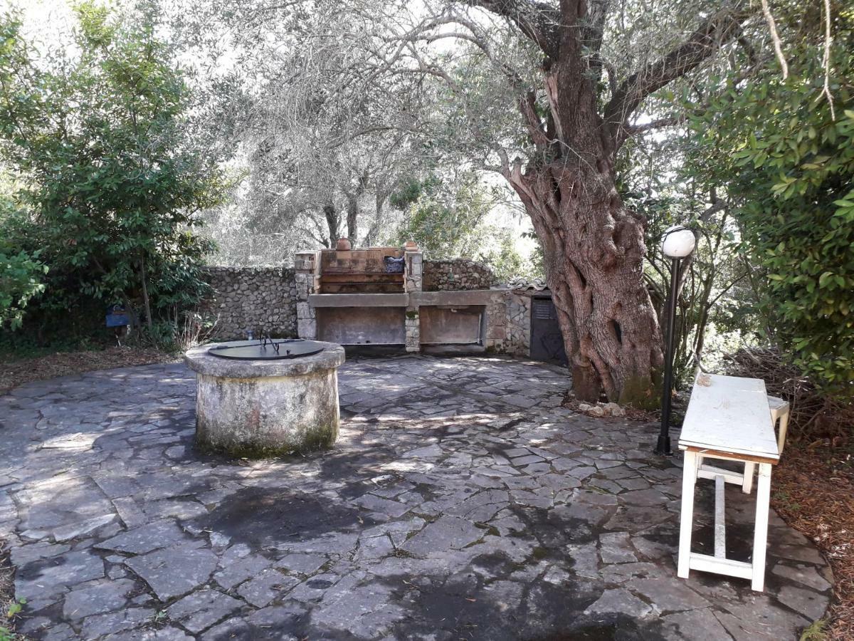 House In The Olive Garden Apartment Agios Ioannis  Exterior photo