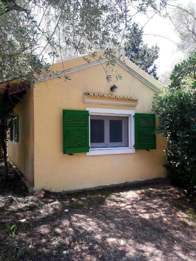 House In The Olive Garden Apartment Agios Ioannis  Exterior photo